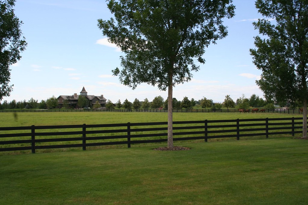 Treetop Farms, Wilder, Idaho Wilder is a city in Canyon Co… Flickr