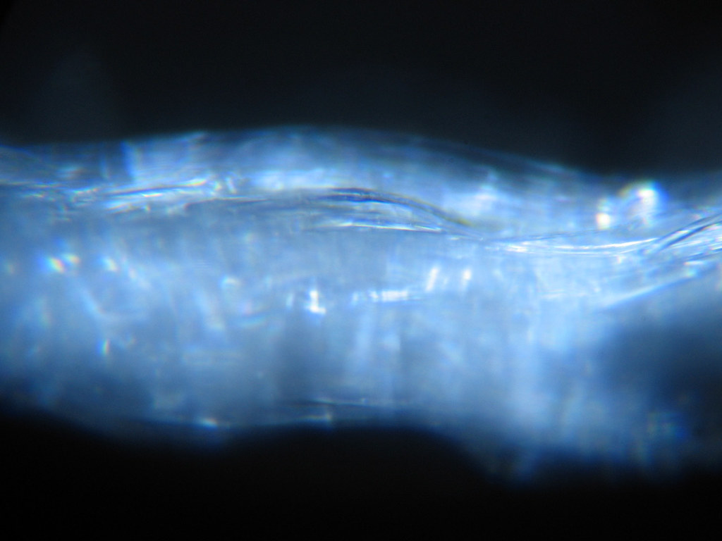 strand Silk thread under a microscope photographed down … Flickr