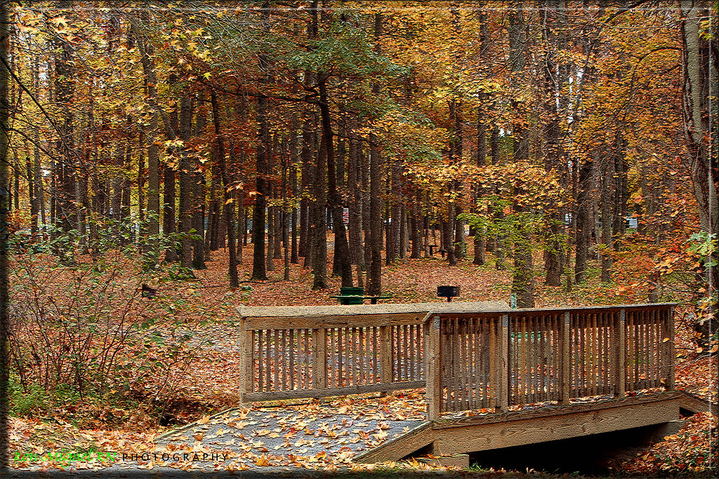 july fourth park... kernersville, north carolina Detailed … Flickr