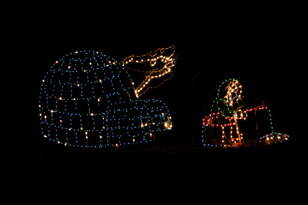 Tanglewood Park Christmas Lights Tanglewood is a park in C… Flickr
