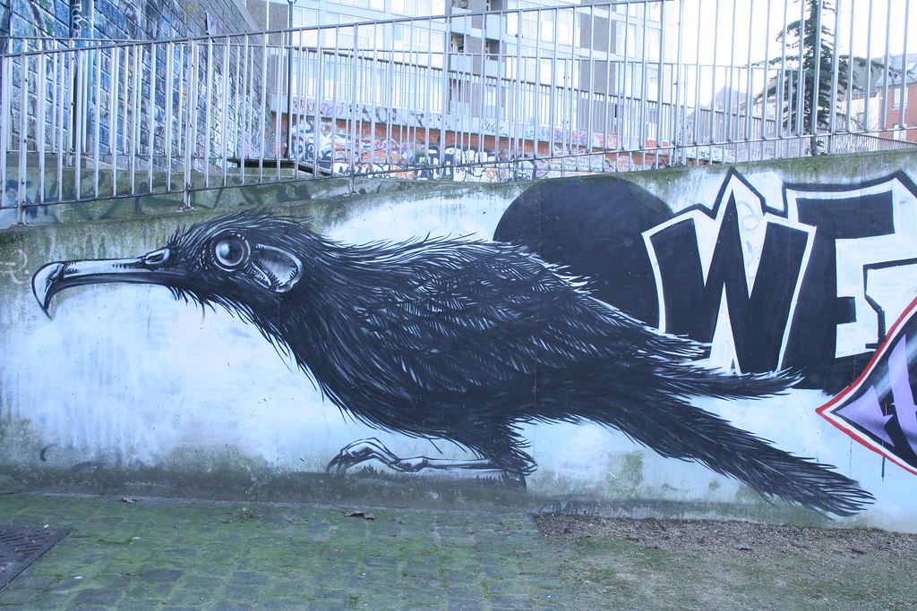 Raven, rue des Brigitines Vanessa Sutour Flickr