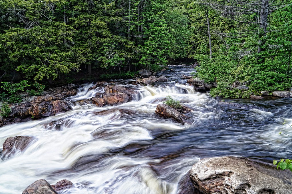 Trout Brook Brook outside of Pottersville, NY in Adirondac… Flickr