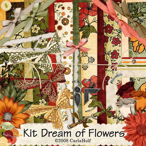CARLA_kit_dream_offlowers uvadoce Flickr