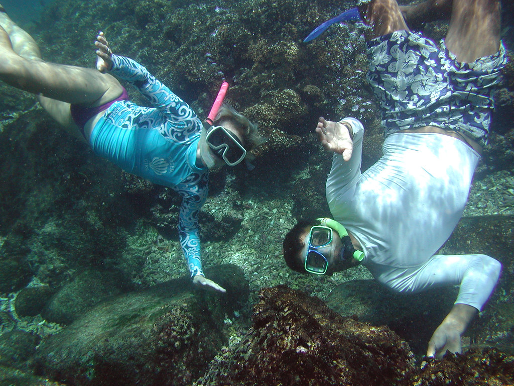 Snorkel at Puerto Vallarta Mexico Practice the best kaya… Flickr