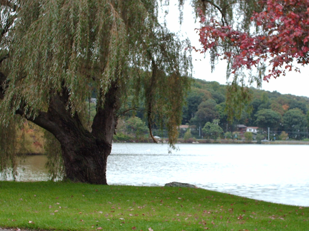 Lake Carmel Carmel, NY Photo taken of view from home my … Flickr