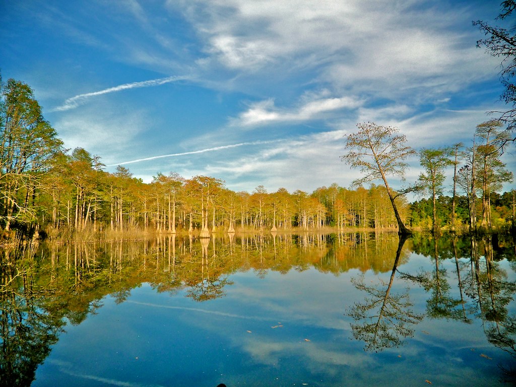 Hope Mills Lake escalier2010 Flickr