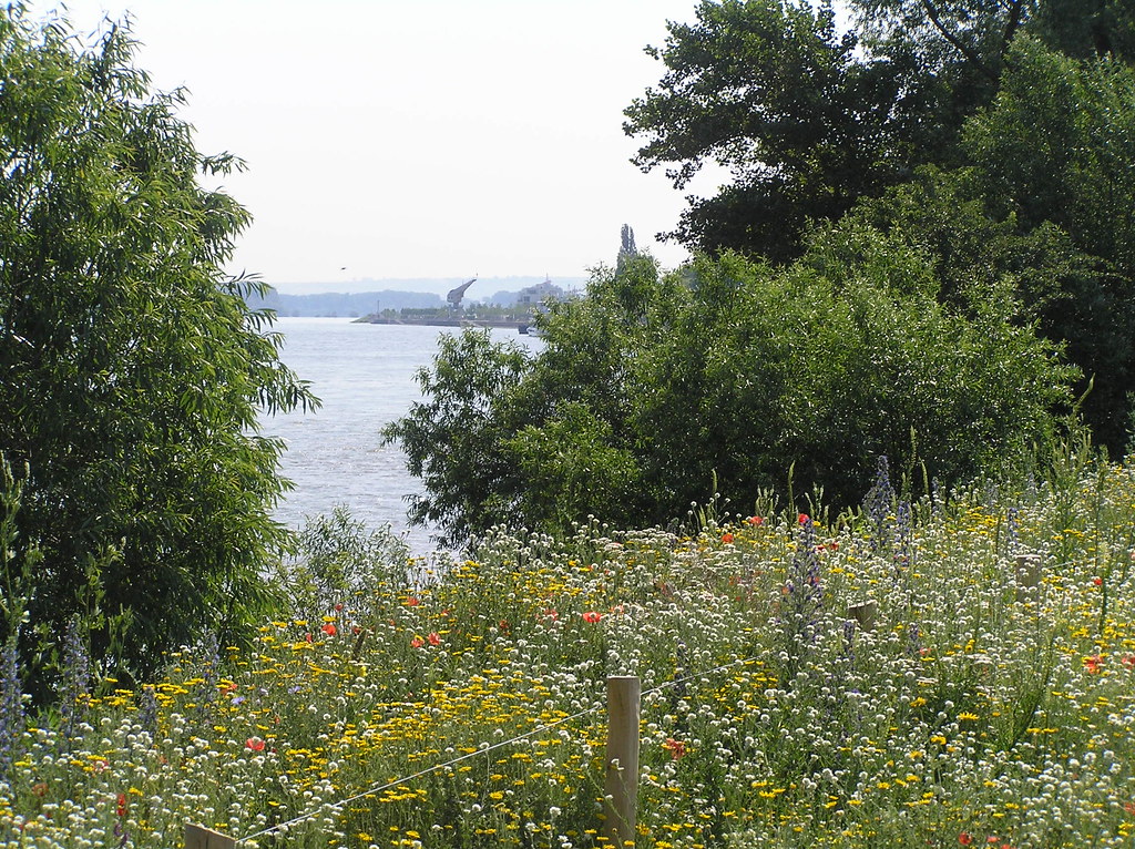 Bingen Landesgartenschau 2008 Park am Mäuseturm ; Im Hin… Flickr