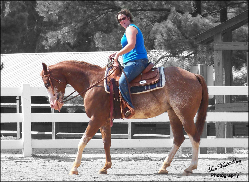 Backing western horse SarWestMay Flickr