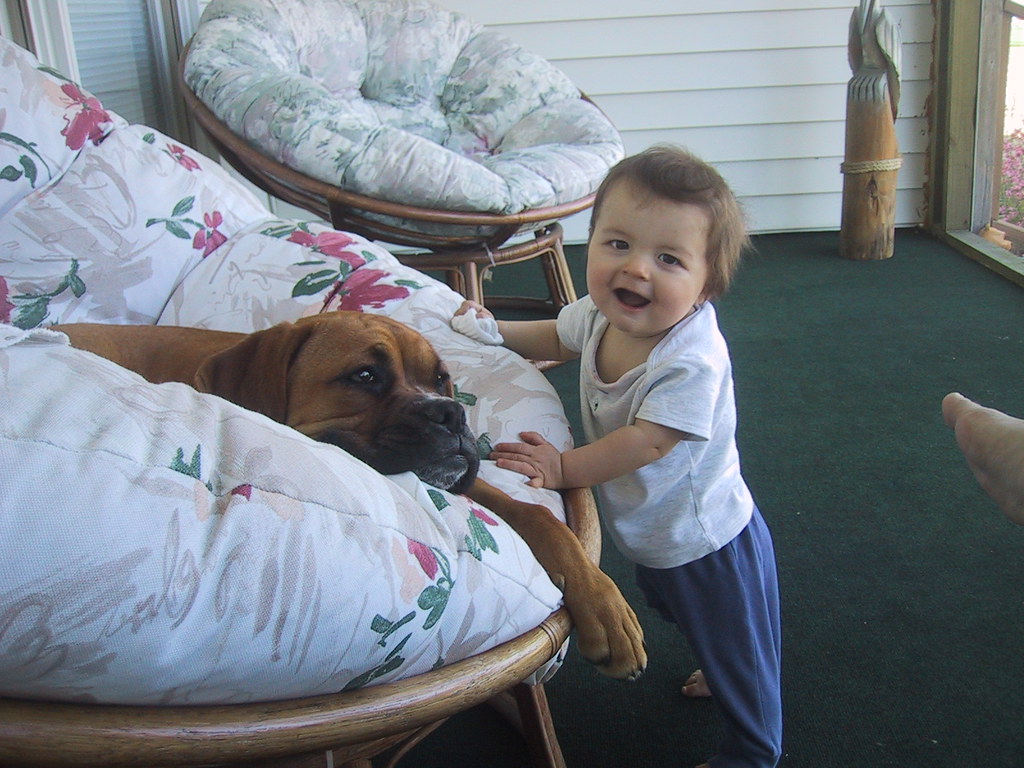 Lucy and baby Dalton momtodillydally Flickr