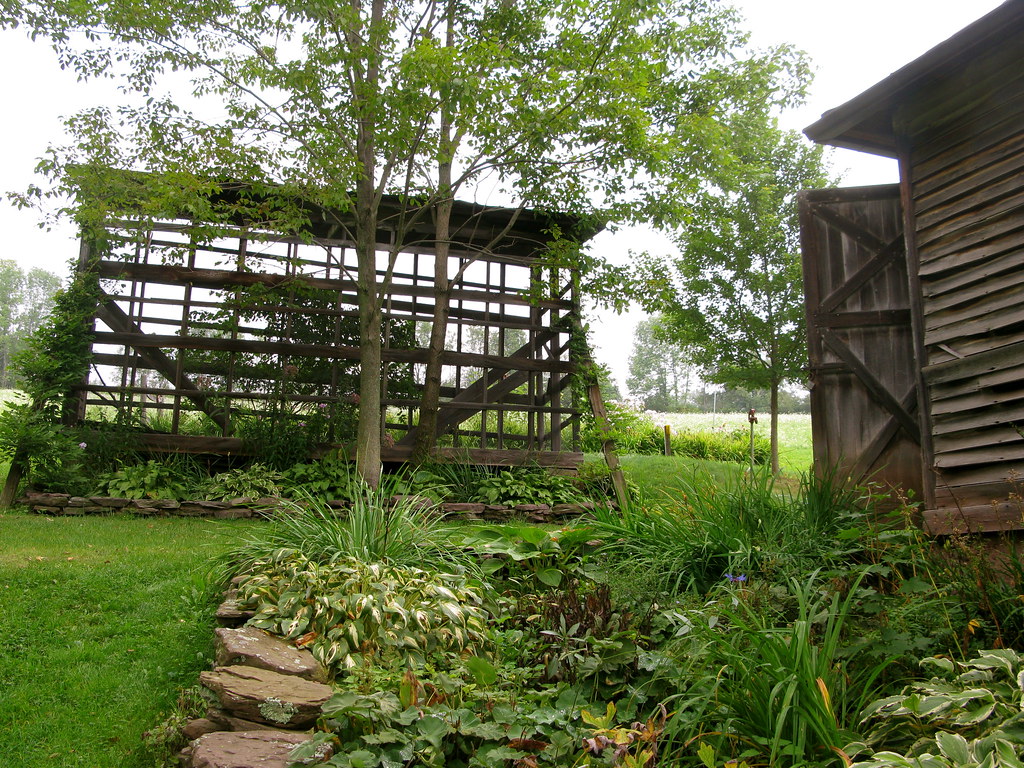 PATTY'S FARM Anca Stoicea Flickr