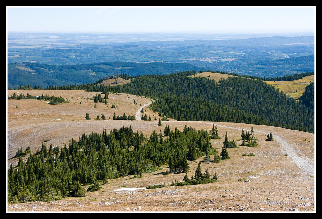 The Trail Back Moose Mountain, Alberta, Canada AndyBailey Flickr