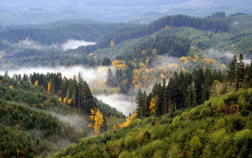 110108 064 ScappooseVernonia Highway outside Scappoose… Flickr