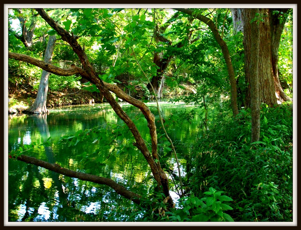 Wimberley Texas...Cypress Creek Molly258 Flickr