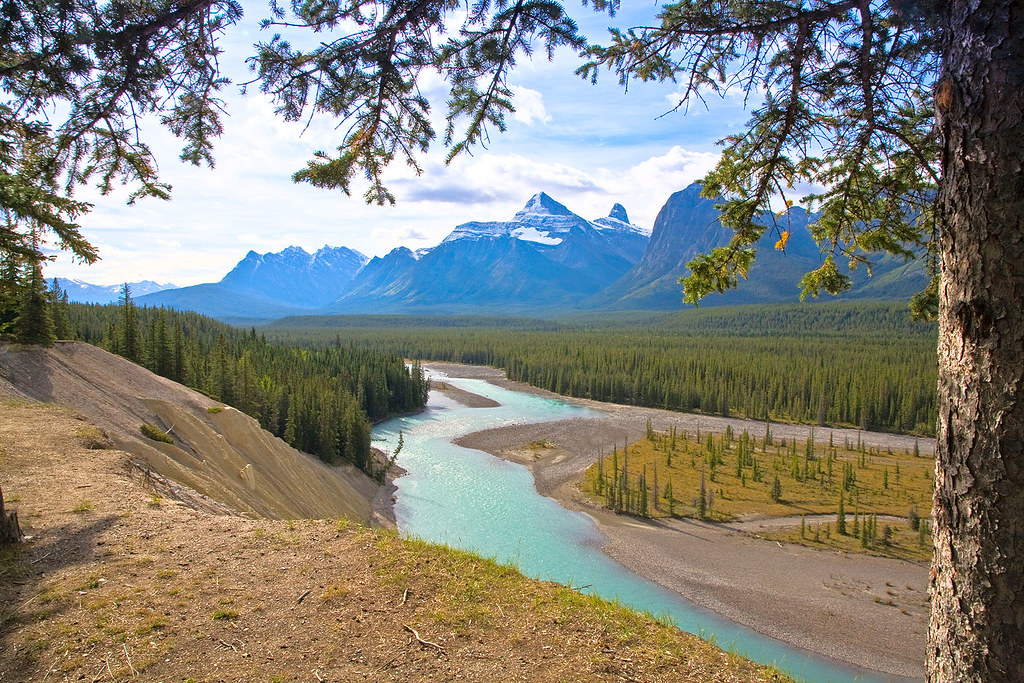 Athabasca River Athabasca River from Icefields Parkway, Al… Flickr