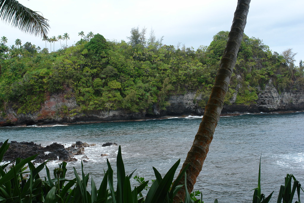 DSC07512 Hawaii Tropical Botanical Garden, Papaikou Hawaii… Scot