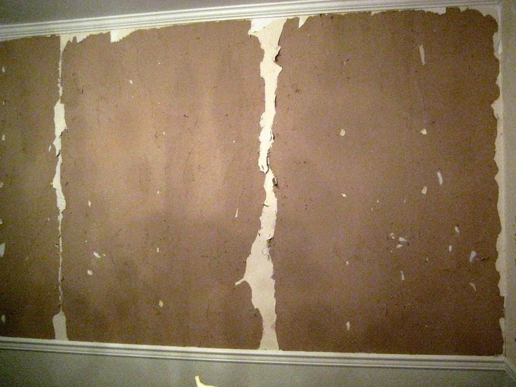Wallpaper Stripping Gone Bad I was minding my own business… Flickr