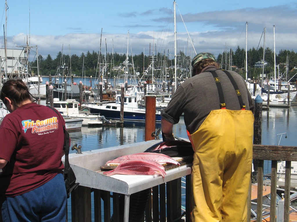 tuna on the coos bay dock Coos Bay boardwalk. great place … Flickr