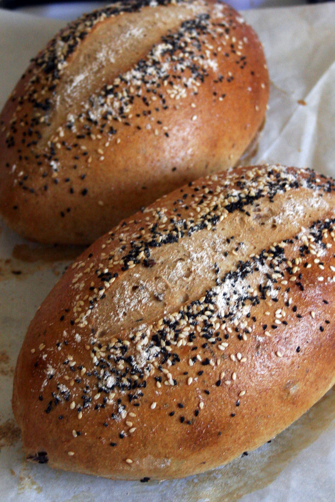 Rustic Italian Whole Wheat Bread with Kalamata Olives Flickr