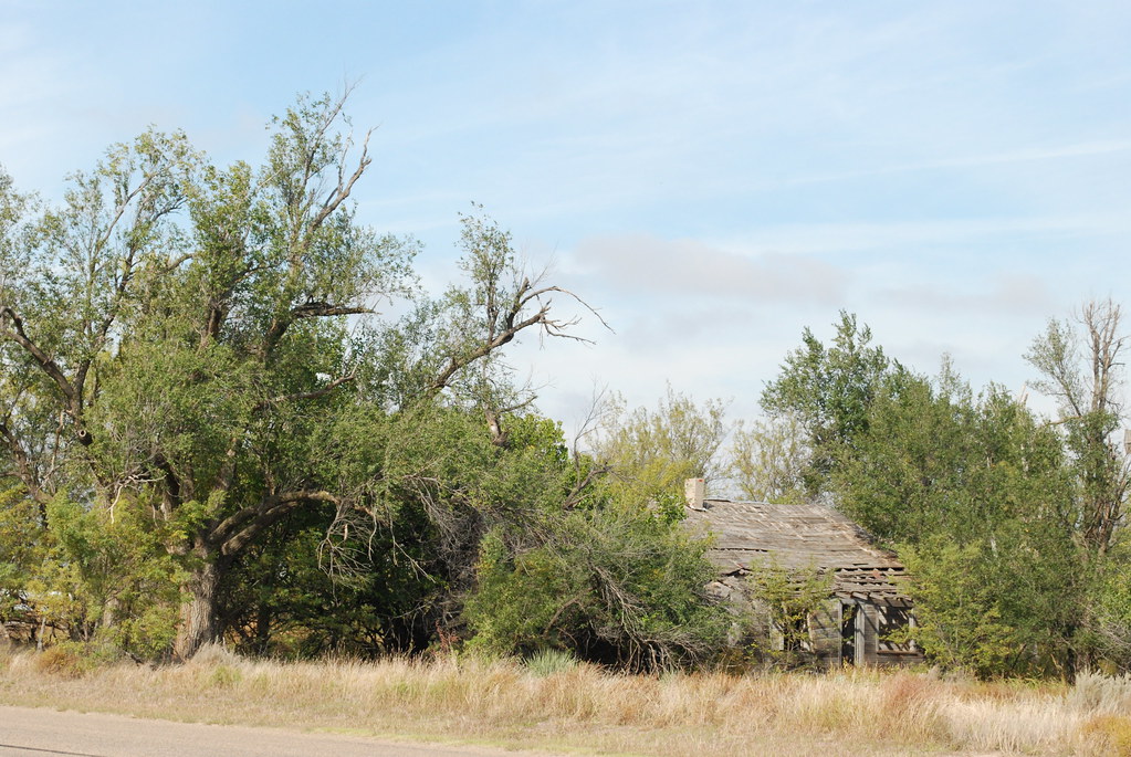 near Lake Marvin, Hemphill County, Texas Denny Mingus Flickr