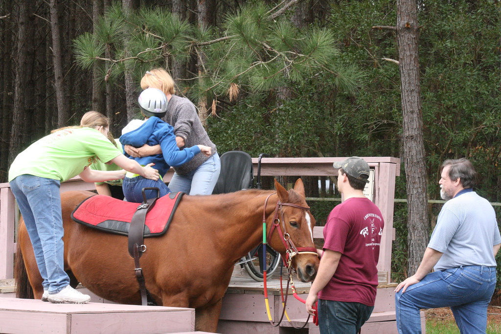 Mounting a Rider The instructor directs every movement whi… Flickr