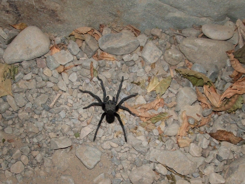 Punch Bowl, Ojai 7/27/08 Flickr