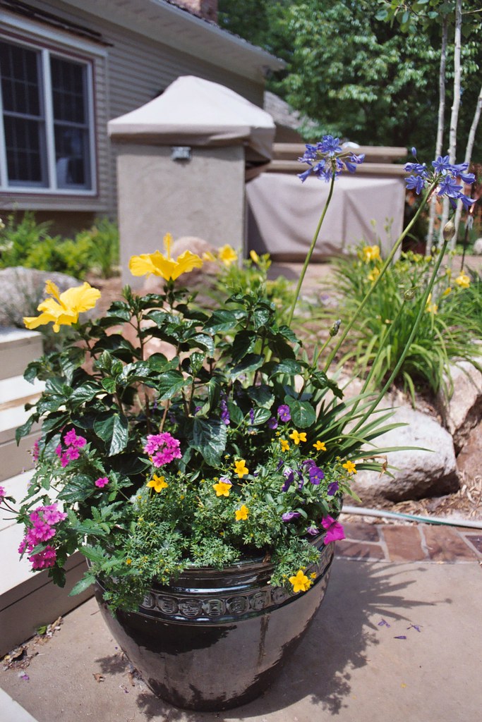 Annual Plantings Iowa City Landscaping & Garden Center Flickr