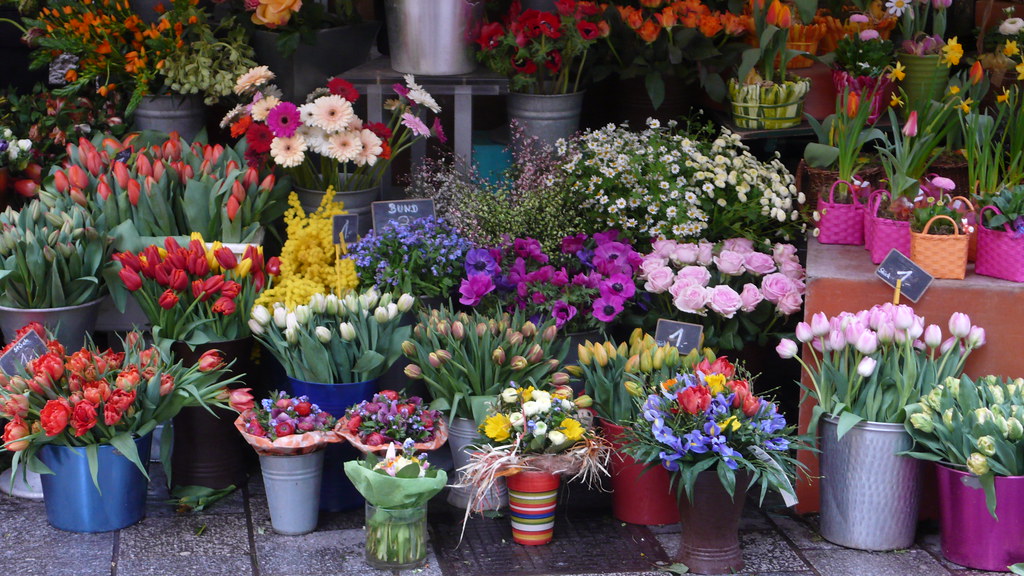 Fioraio a Vienna Florist in Vienna Ola55 Flickr