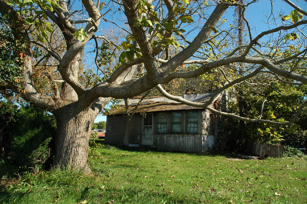 DSC_0033 Junkyard in Lewes, Delaware. bucksboy Flickr