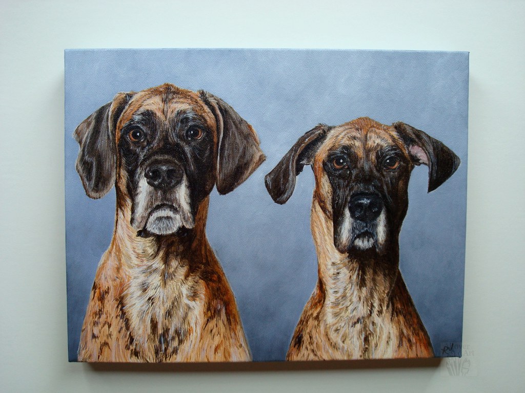 Rudy and Tampa Oil Paint Pet Portrait 11x14 oil paint pet … Flickr