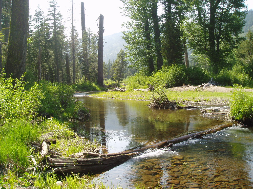 Blackwood Creek janc2017 Flickr