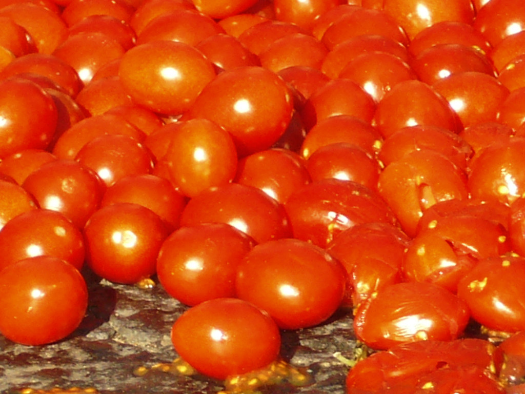 lil_tomatoes beautiful_lover Flickr