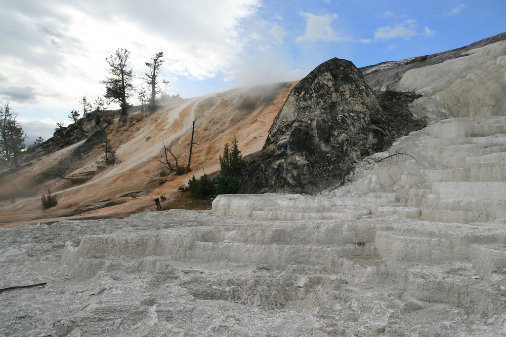 Minerva Terrace Visitors approach Minerva Terrace on an el… Flickr