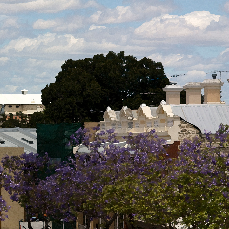 Jacarandas in flower, Fremantle Allan Rostron Flickr