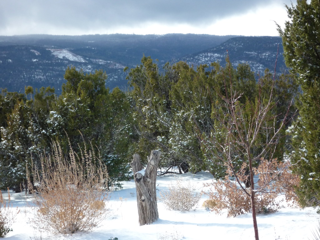 New Mexico December Sandia Mtns December 2009 Sandia Mtn… Flickr