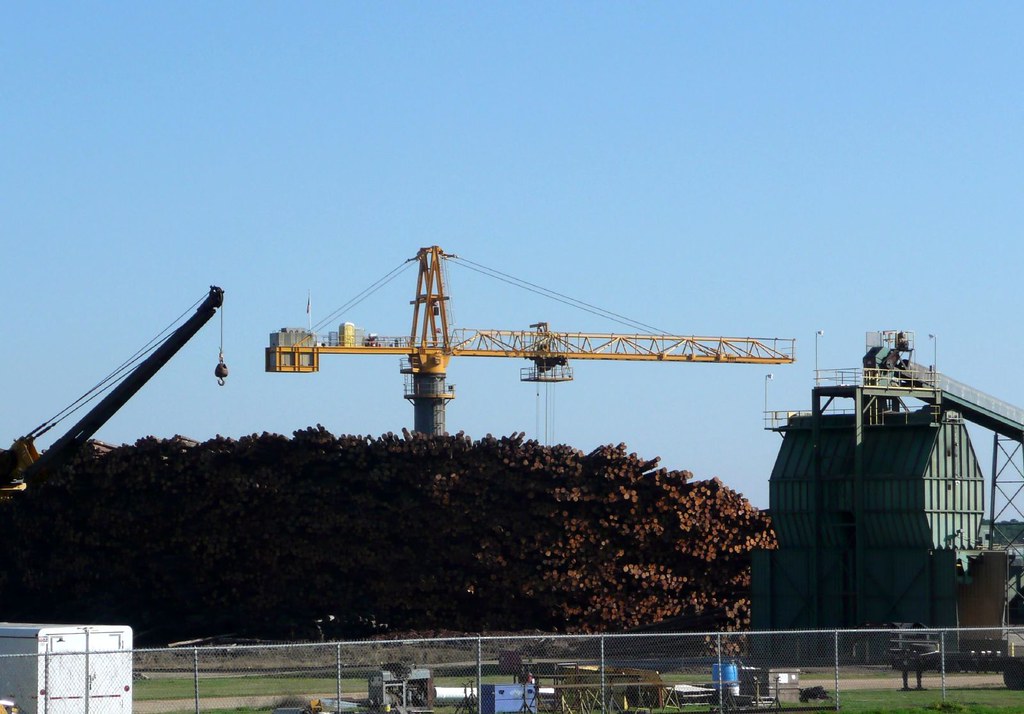 The Wood Pile Pineland Texas Mark Flickr