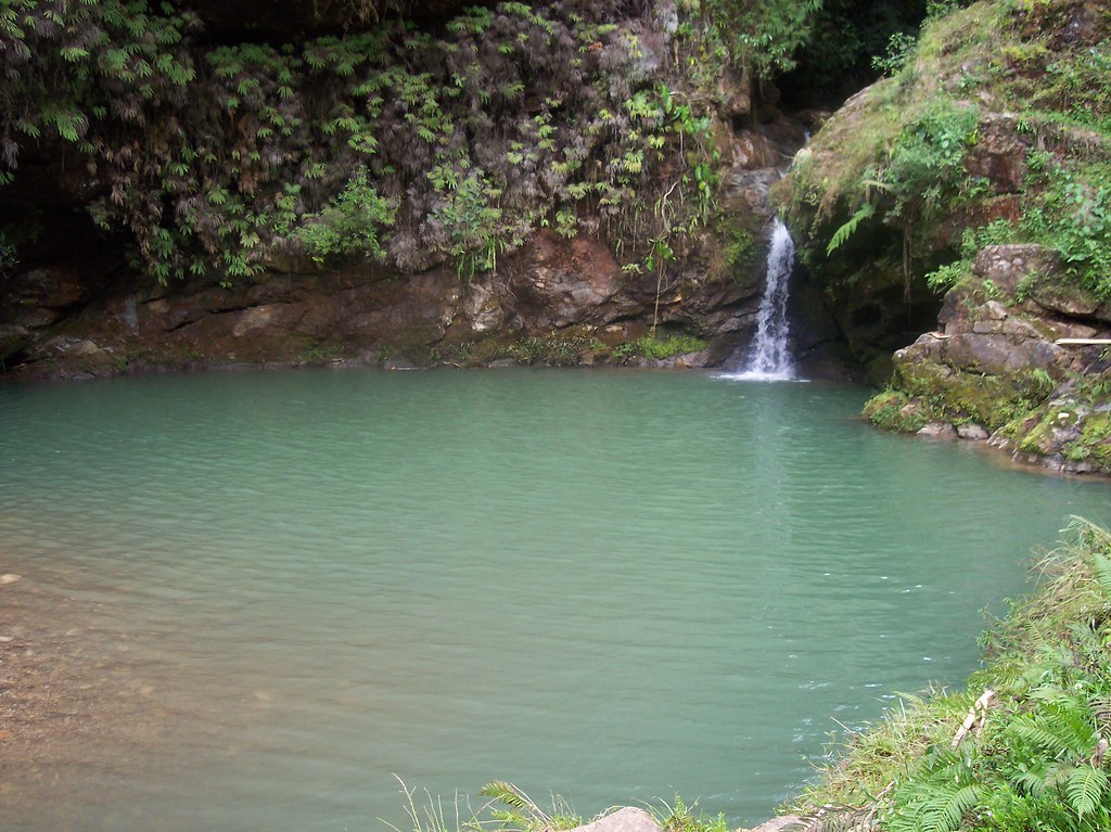 Poza Verde Vista de la Poza Verde en Xochitlan de Vicente … Flickr