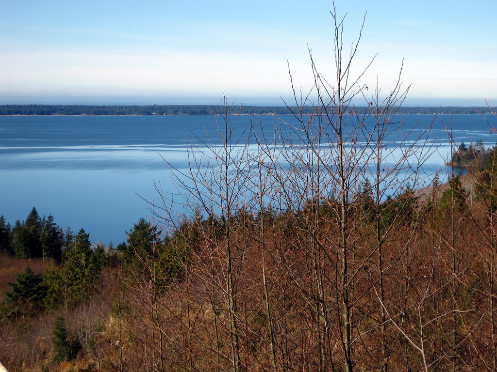 Willapa Bay view from forest road on property View from fo… Flickr