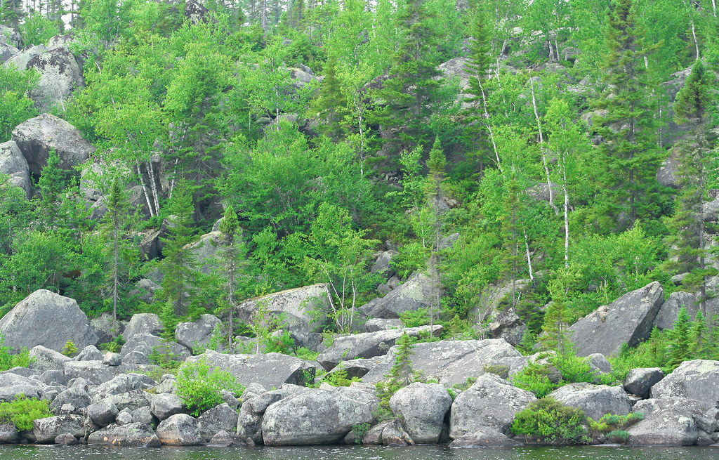 shore on lower Kennedy lake deredin.derek Flickr