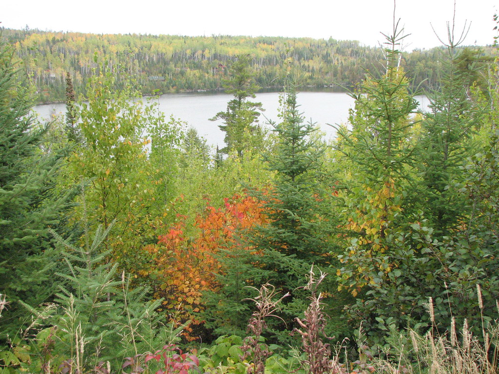 IMG_1674 Birch Lake, Gunflint Trail, MN dwales1445 Flickr