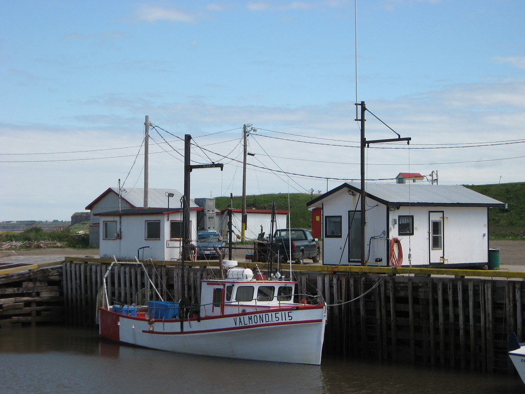 IMG_4838 Janeville NB. August 2008. Derek Blackadder Flickr