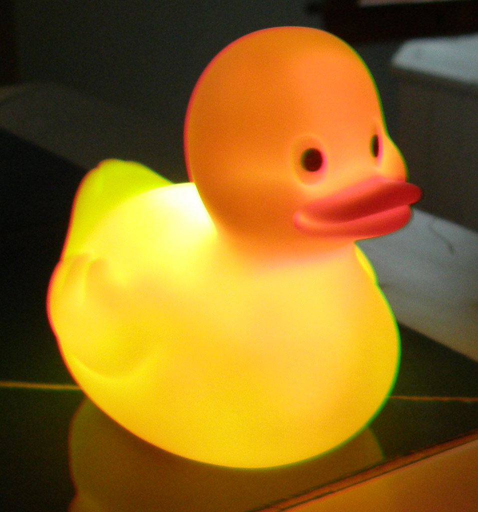 Sparkling duck Walmart duck duckyjess Flickr