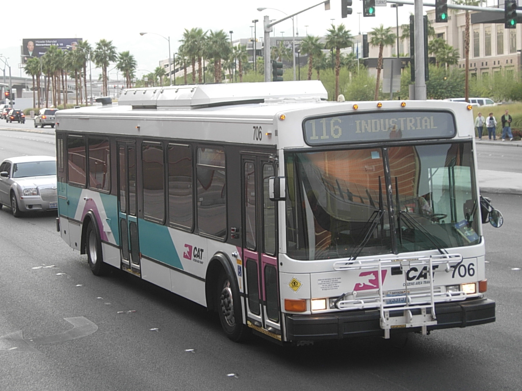 Geruchlos Balance Gelee cat bus las vegas Hochzeit Kreatur Erzählen