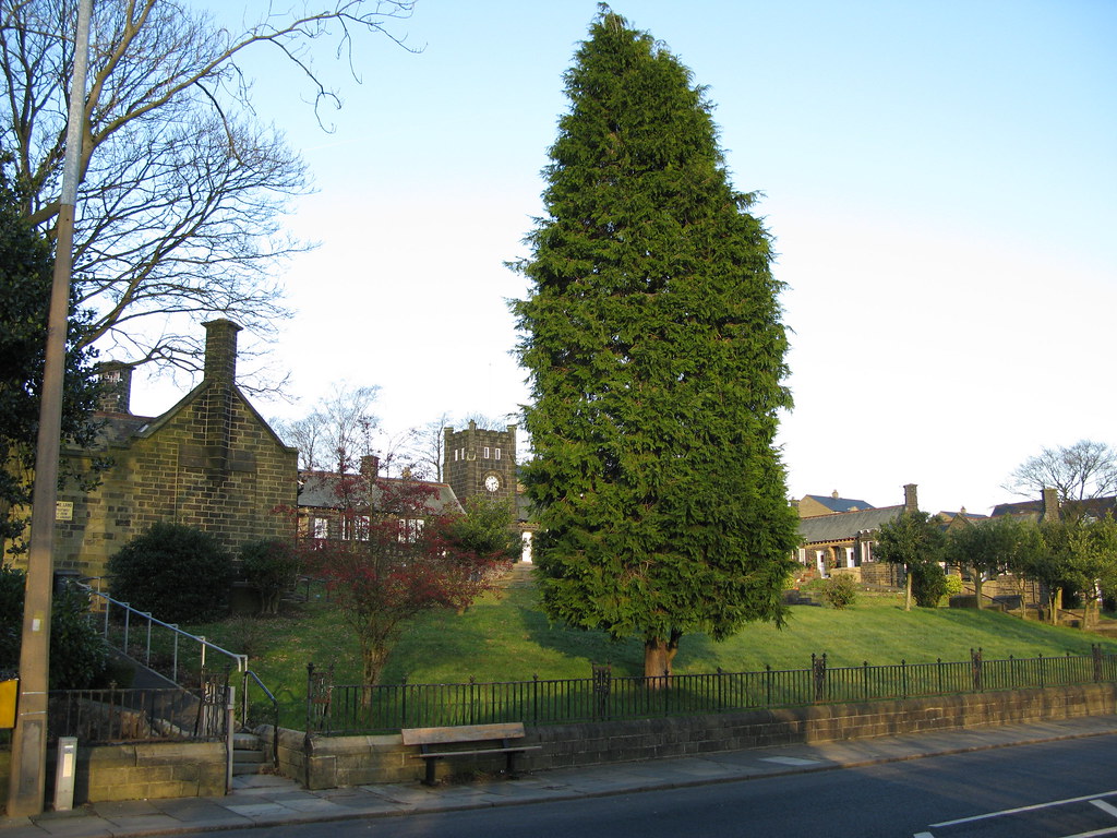 Hartley Homes Tree Steve Haslam Flickr