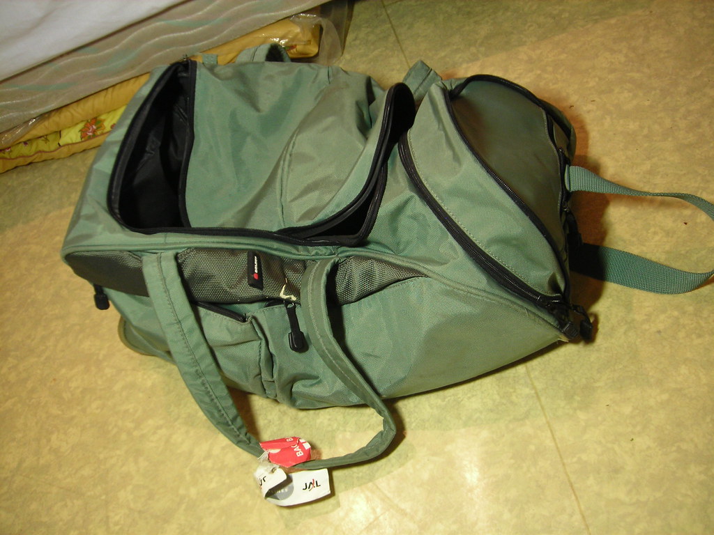 Delsey Bag 15,000 Very good quality, mediumsize skydrew17 Flickr