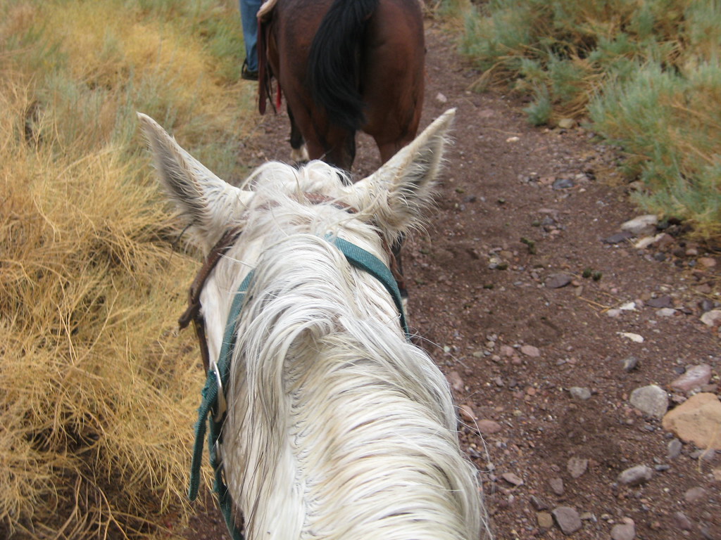Horseback Riding Cowboy Trail Rides, Las Vegas, NV Lindsey B Flickr