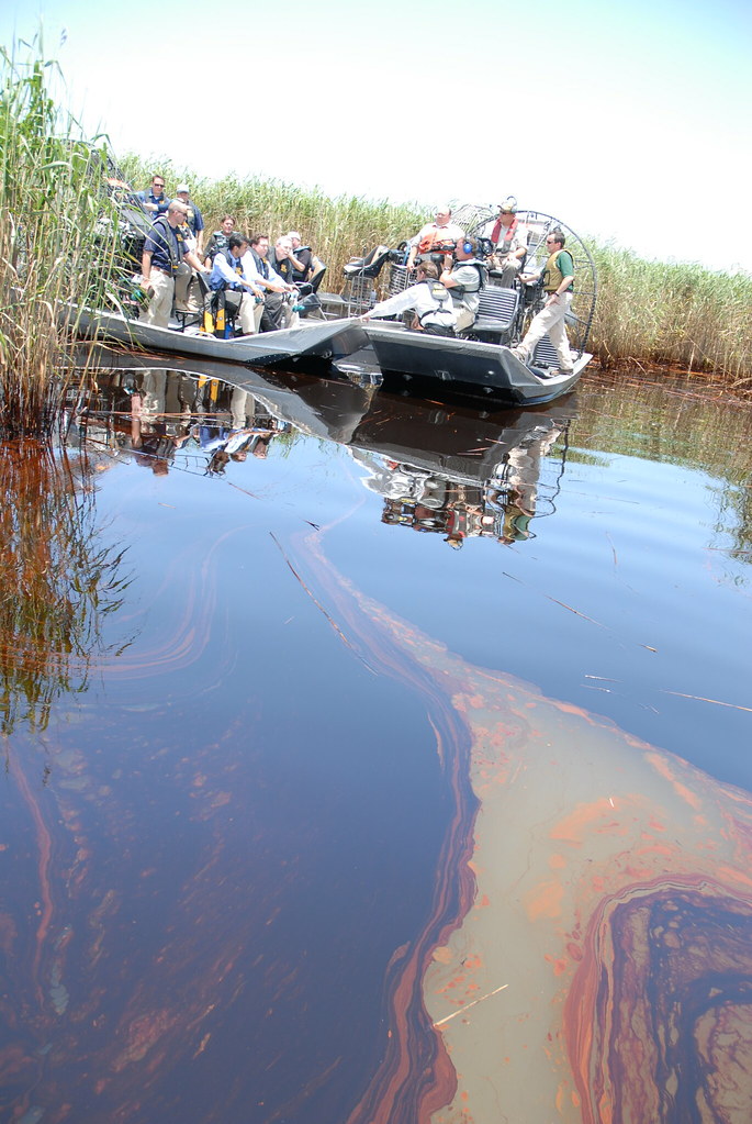 Oil Impacts PAL, May 19, 2010 Thick oil pools in the water… Flickr