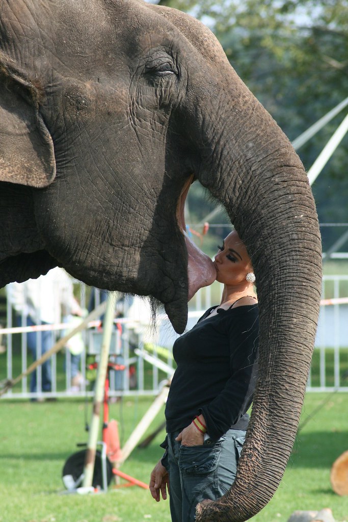 Kissing an elephant Dompteuse Adriana Folco met olifant Ba… Flickr