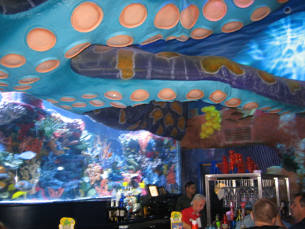 Fish Tank behind Bar TRex Grand Opening Night at Downtown… Flickr