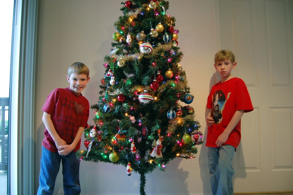 Putting up the Christmas tree Putting up the Christmas tre… Flickr