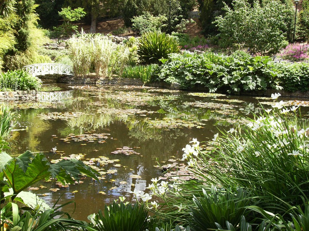 Botanic Gardens Hobart Flickr